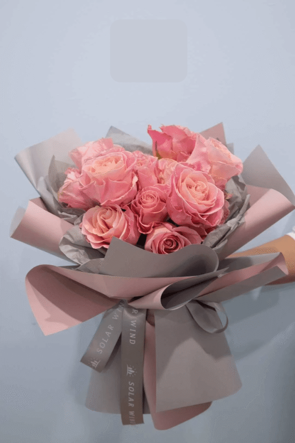 13 Peach Pink Premium Roses — Hamblins Florist, McMahons Point