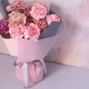 Mix carnation 400h x 300 w