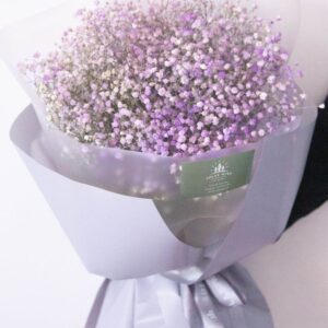 Purple Baby's Breath