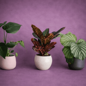 Florist's Seasonal Surprise –