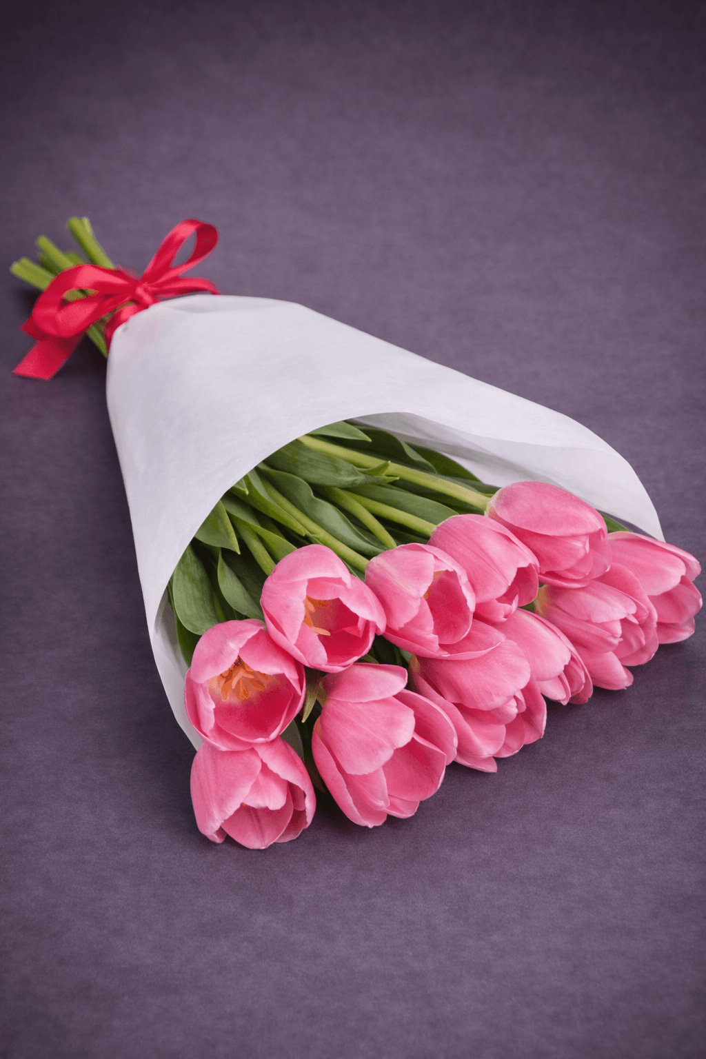 Pink Tulip Bouquet with Red Ribbon