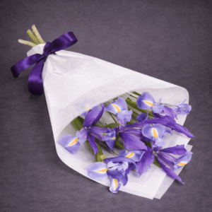 Purple Irises in Satin and Cellophane