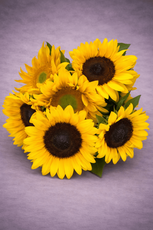 Vibrant Sunflowers hand-arranged by Hamblins Florist